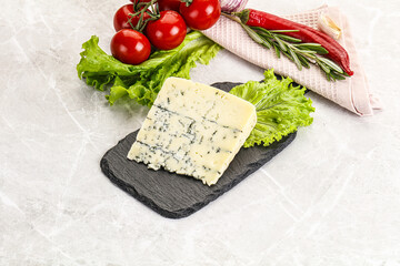 Gourmet blue cheese with mold