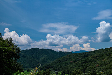 夏の青空と白い雲
