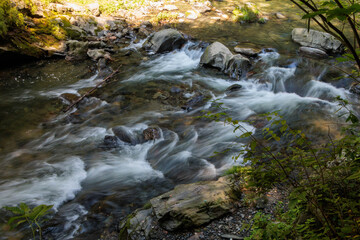 渓谷の綺麗な川の流れ