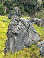 Piedra, roca hermosa 