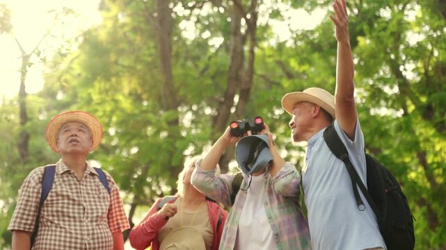 Group senior tourists, men and women retired age joined together in a hiking group study the ecological nature and the environment and wildlife. They were amazed at the lush nature of the trees.