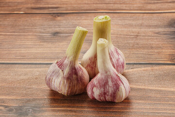 Young garlic heap for cooking