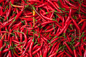 red chili hot pepper fresh organic vegetable at the market 