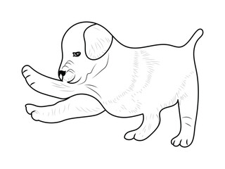Labrador Puppy dog Coloring page or Book for kids. Labrador puppy outline vector illustration