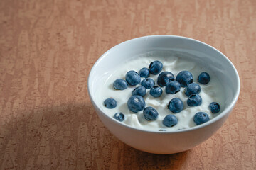 White bowl of yoghurt with blueberries isolated on brown
