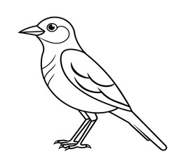 Bird silhouette Vector art illustration eps