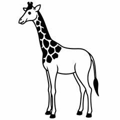 Naklejka premium Giraffe head Silhouette Vector Illustration 