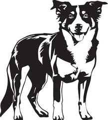 illustration of a new zealand heading dog