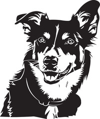 adorable new zealand heading dog