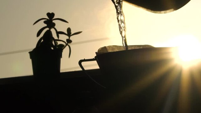 Caf&eacute; ao nascer do sol