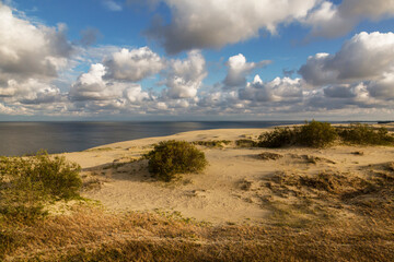 View of the dunes of the Curonian Lagoon near the Efa Heights in the Curonian Spit National Park in the Kaliningrad Region, Russia