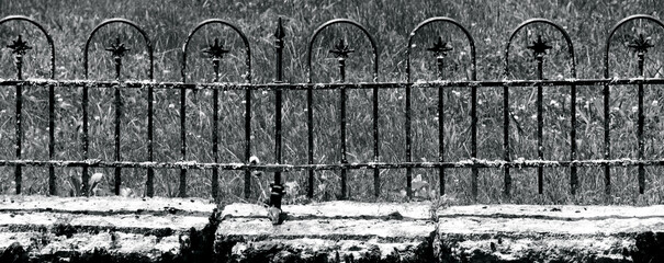 Black and White Old Wrought Iron Fence