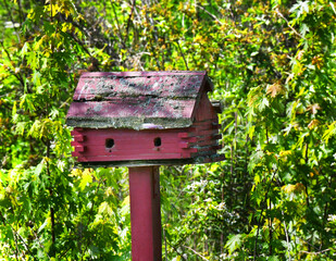 Cabin Bird House With Two Holes