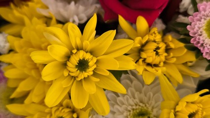 Many types of flowers for background