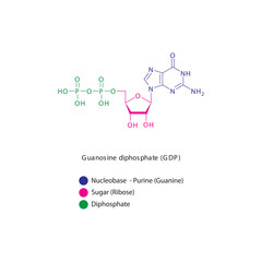 Guanosine diphosphate (GDP) skeletal structure schematic illustration, Nucleoside molecule.