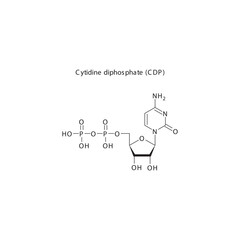 Cytidine diphosphate (CDP) skeletal structure schematic illustration, Nucleoside molecule.