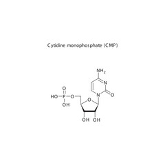 Cytidine monophosphate (CMP) skeletal structure schematic illustration, Nucleotide molecule.