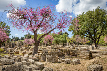 Olympia archaeological site with ruins and beautiful pink plooming flowers, Greece