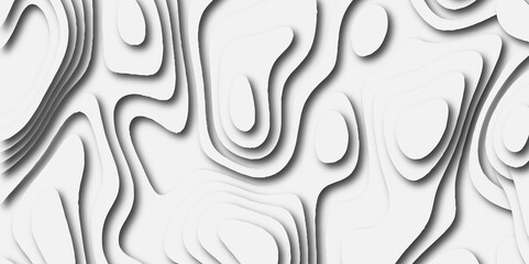 Topographic canyon geometric map relief texture with curved layers and shadow. abstract White background with a beautiful pattern, Topographic contour lines vector map seamless pattern vector.