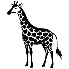 Giraffe Silhouette Vector Illustration
