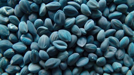 Macro close-up of fresh raw blue cottonseeds, cotton seed texture surface for wallpaper banner background with copyspace