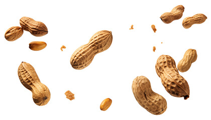 Falling peanut, full body, on a transparent background