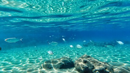 Crete autumn 2023 southern coast underwater world