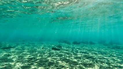Crete autumn 2023 southern coast underwater world