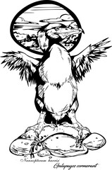 Obraz premium Galapagos Cormorant 