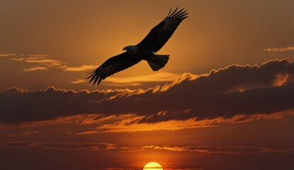 Fototapeta premium Majestic Eagle at Sunset