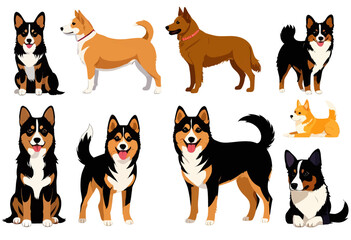 Fototapeta premium Dog Breeds: A Collection of 12 Different Dog Breeds