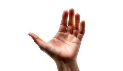 Open hand on transparent png background