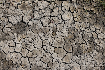 Texture background with dried out brown mud