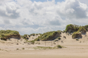 Dunes landscape Nature reserve De Slufter at wadden island Texel in The Netherlands