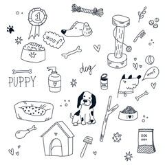 A pet doodle. The dog