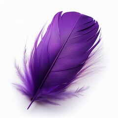 紫色の羽（purple feather）
