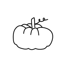 hand drawn pumpkin line icon