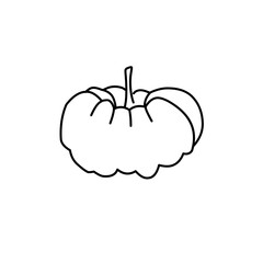 hand drawn pumpkin line icon