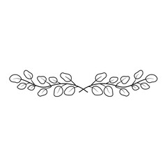 Hand drawn floral divider borders