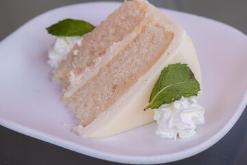 A slice of cake with whipped cream and mint leaves on top. The cake is placed on a white plate