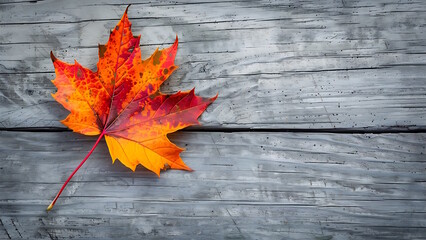 Autumn leaves on old wooden background with copy space.