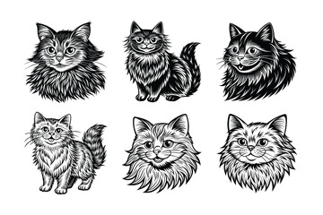 Logo sets of Persian cats, labeled linocut vector illustration.