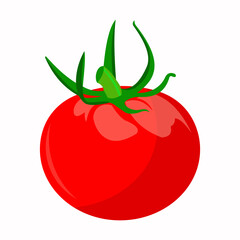 Flat tomato Icon clipart cartoon animation vegetable vector illustration design for kids and children books for learning fruits and alphabet