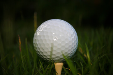 Golf ball set on tee. Dark background.