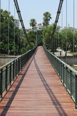 Obraz premium suspension bridge over the river