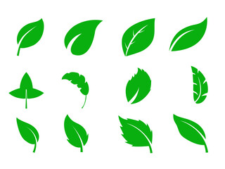Leaf icons set ecology nature element, green leafs, environment and nature eco sign. Eco, bio, natural, vegan, herbal icon. Flat vector illustrations, isolated on white, transparent background.
