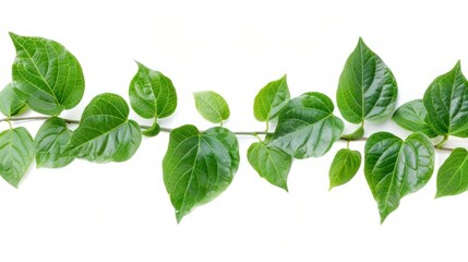 Green leaves isolated on white background AI generation