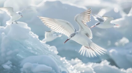 Fototapeta premium A flock of seagulls flying over a frozen lake