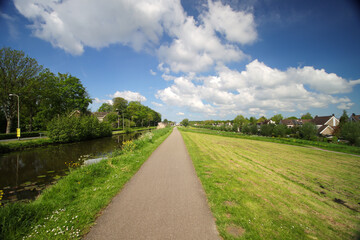 Grassy fields of yellow rapeseed along the ring canal of the zuidplaspolder