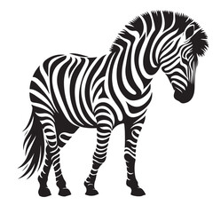  zebra Silhouette vector white back ground
